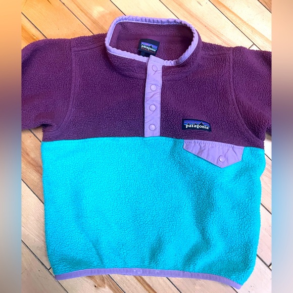 Patagonia Other - Patagonia half zip pullover fleece 2T